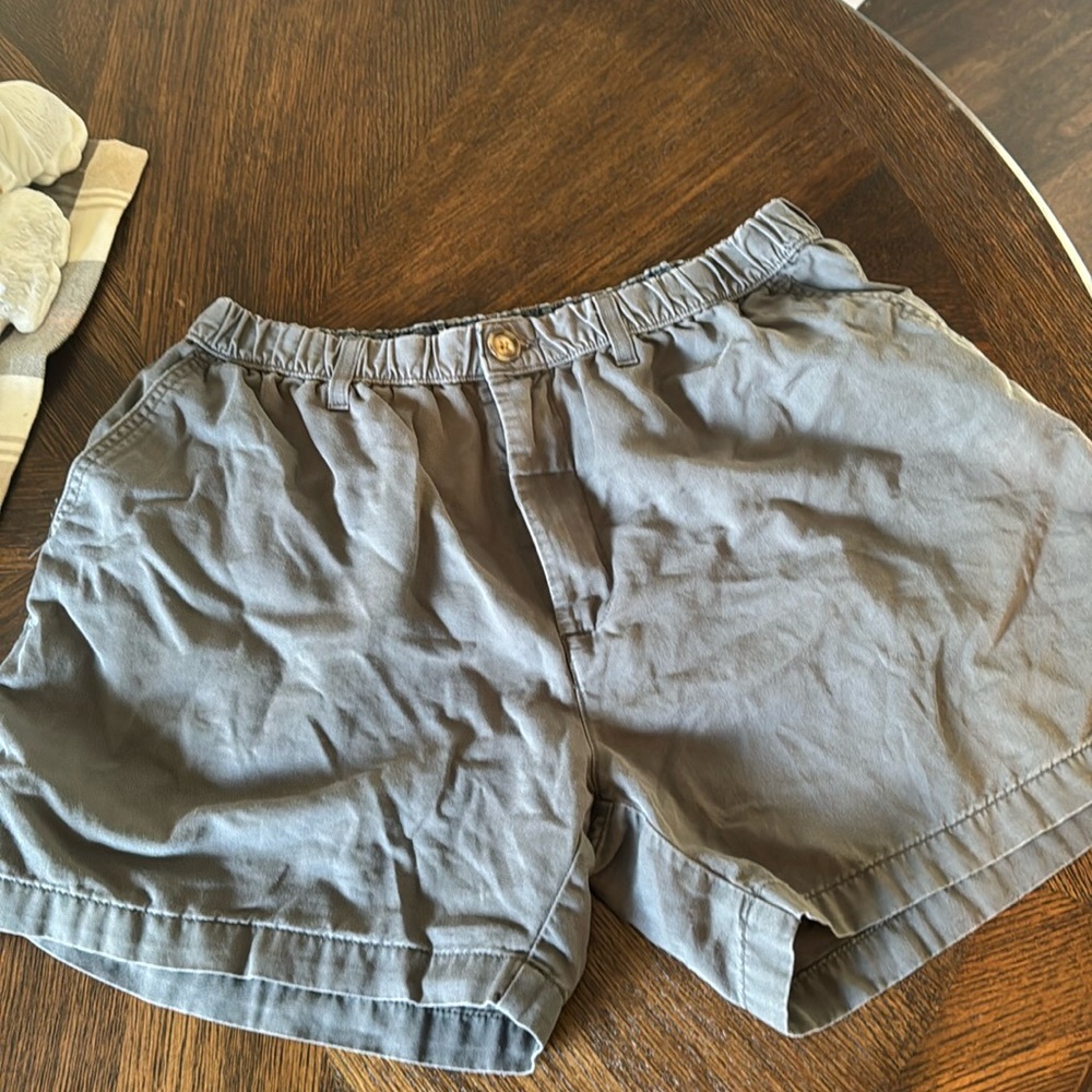 Chubbies Shorts